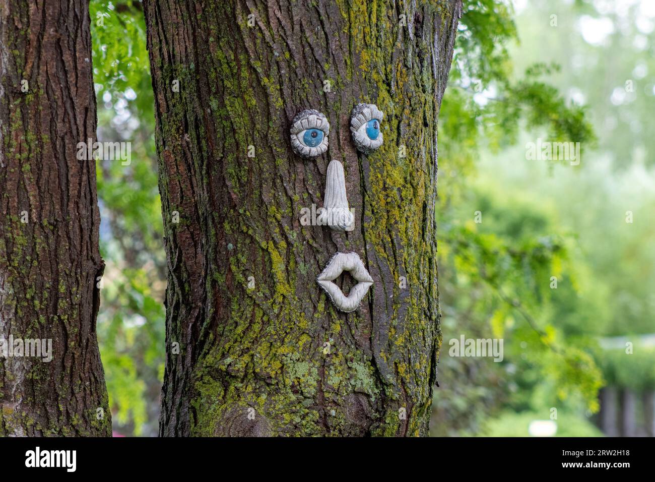 Funny Face on the trunk of a tree . High quality photo Stock Photo Alamy