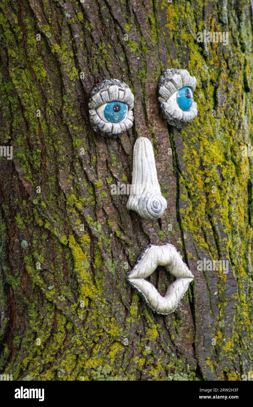 Funny Face on the trunk of a tree . High quality photo Stock Photo Alamy