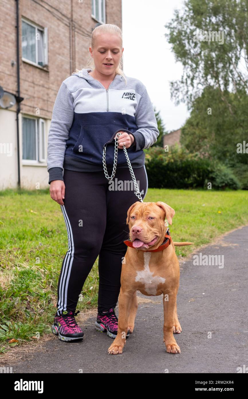 England: New laws banning XL Bully dogs laid in Parliament