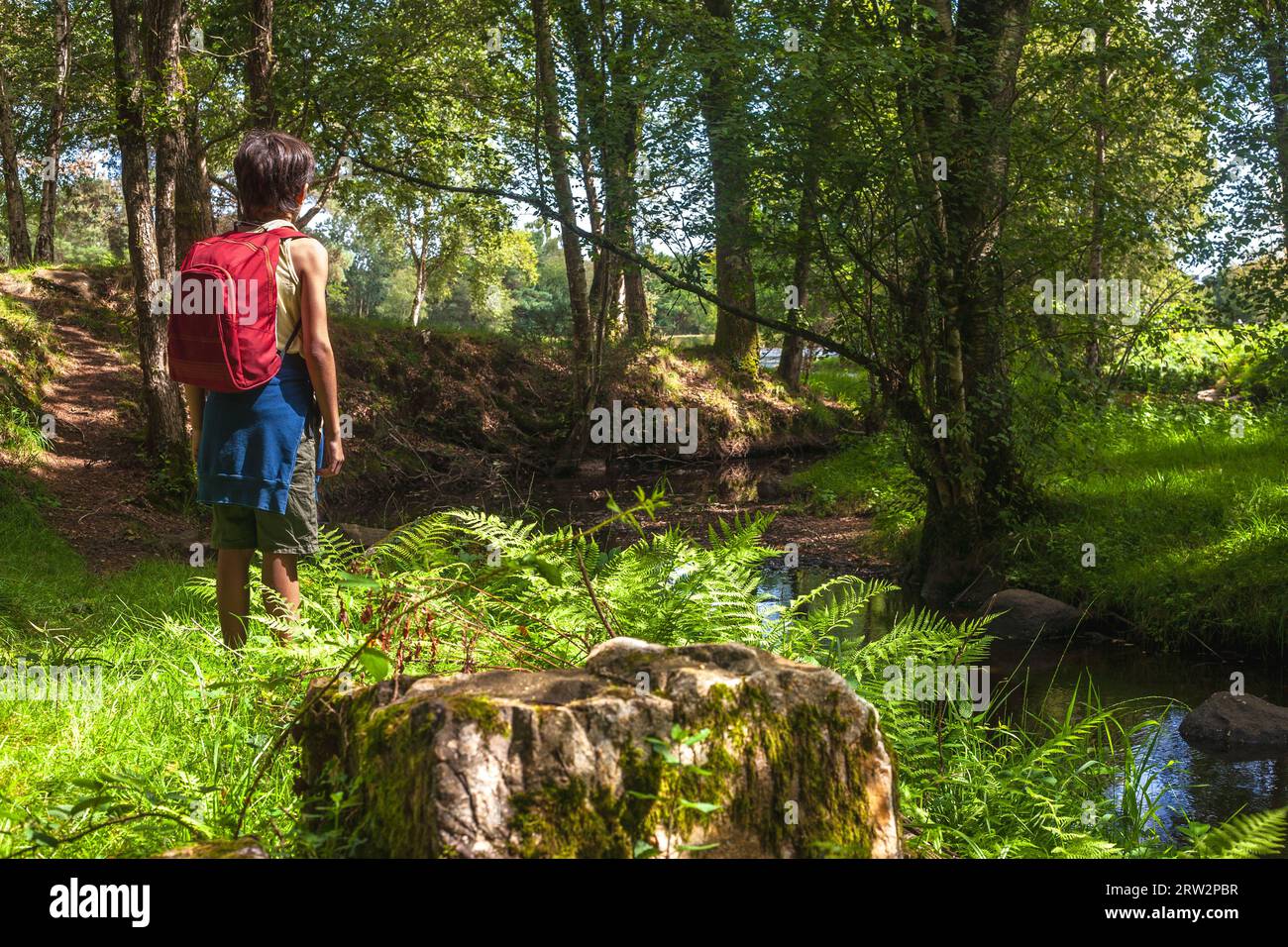 Boy with his backpack watching a stream flowing through the middle of a forest. Stock Photo