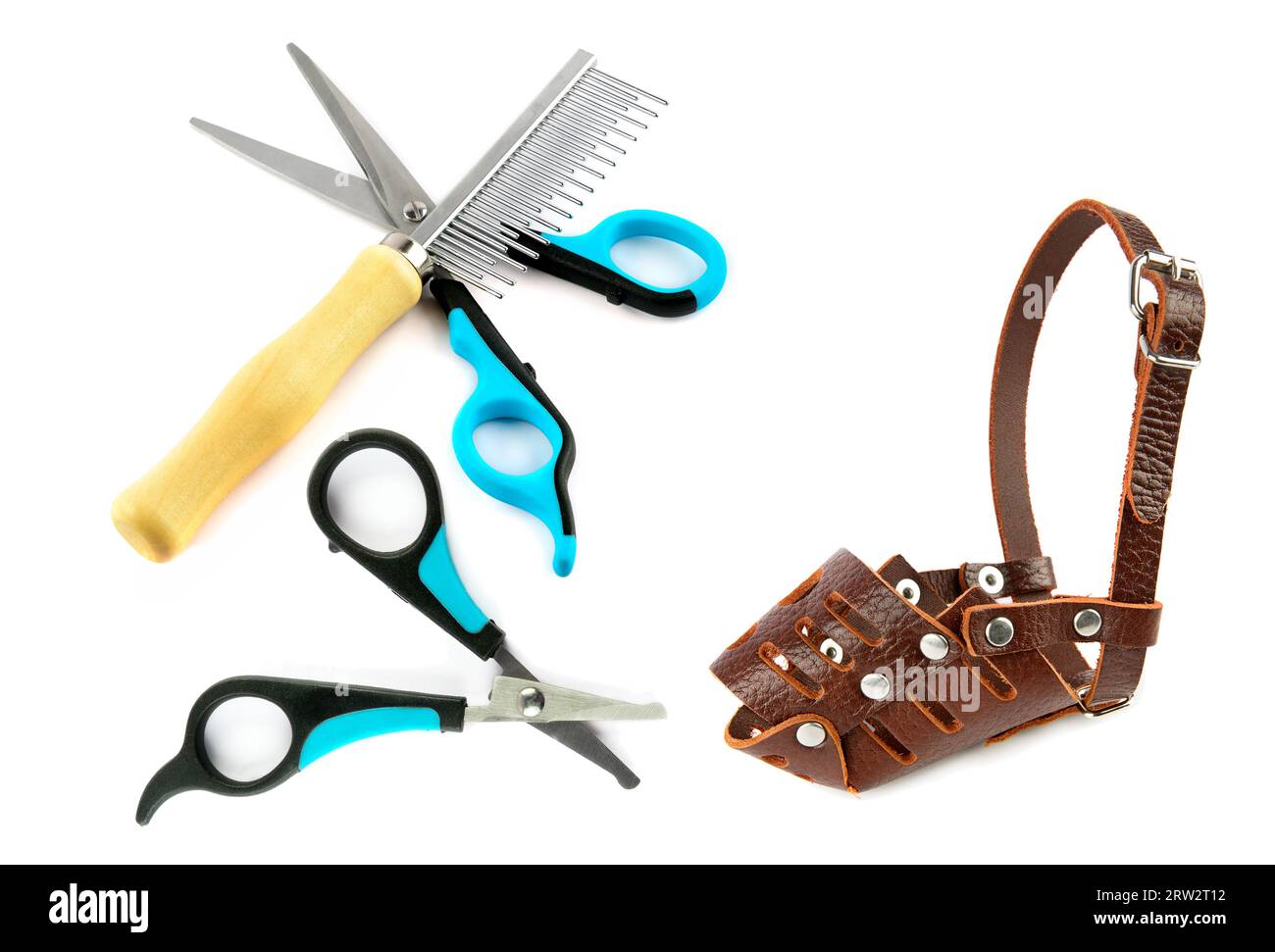 Scissors and comb for grooming dog hair and dog muzzle isolated on