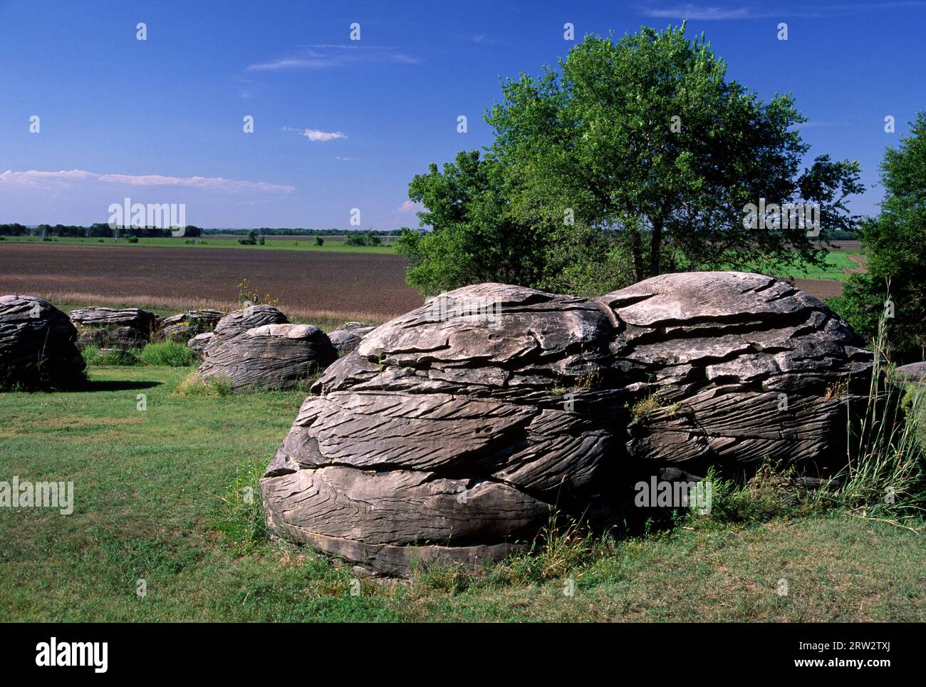 Concretions, Rock City, Ottawa County, Kansas Stock Photo