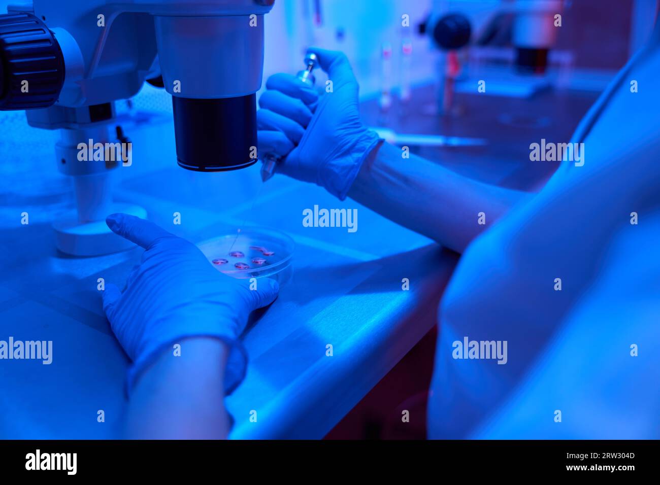 Cryo storage embryology hi-res stock photography and images - Alamy