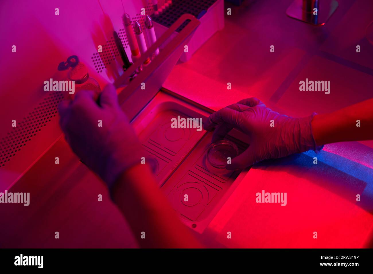 Top view of laboratory assistant hands opening the lid into a special