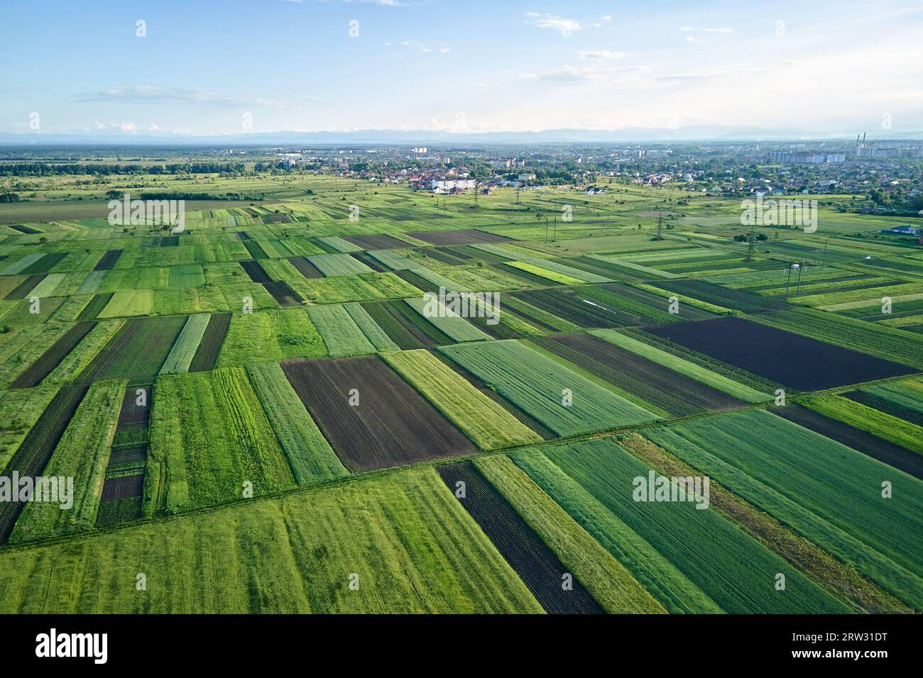 Corn field aerial weed hi-res stock photography and images - Alamy