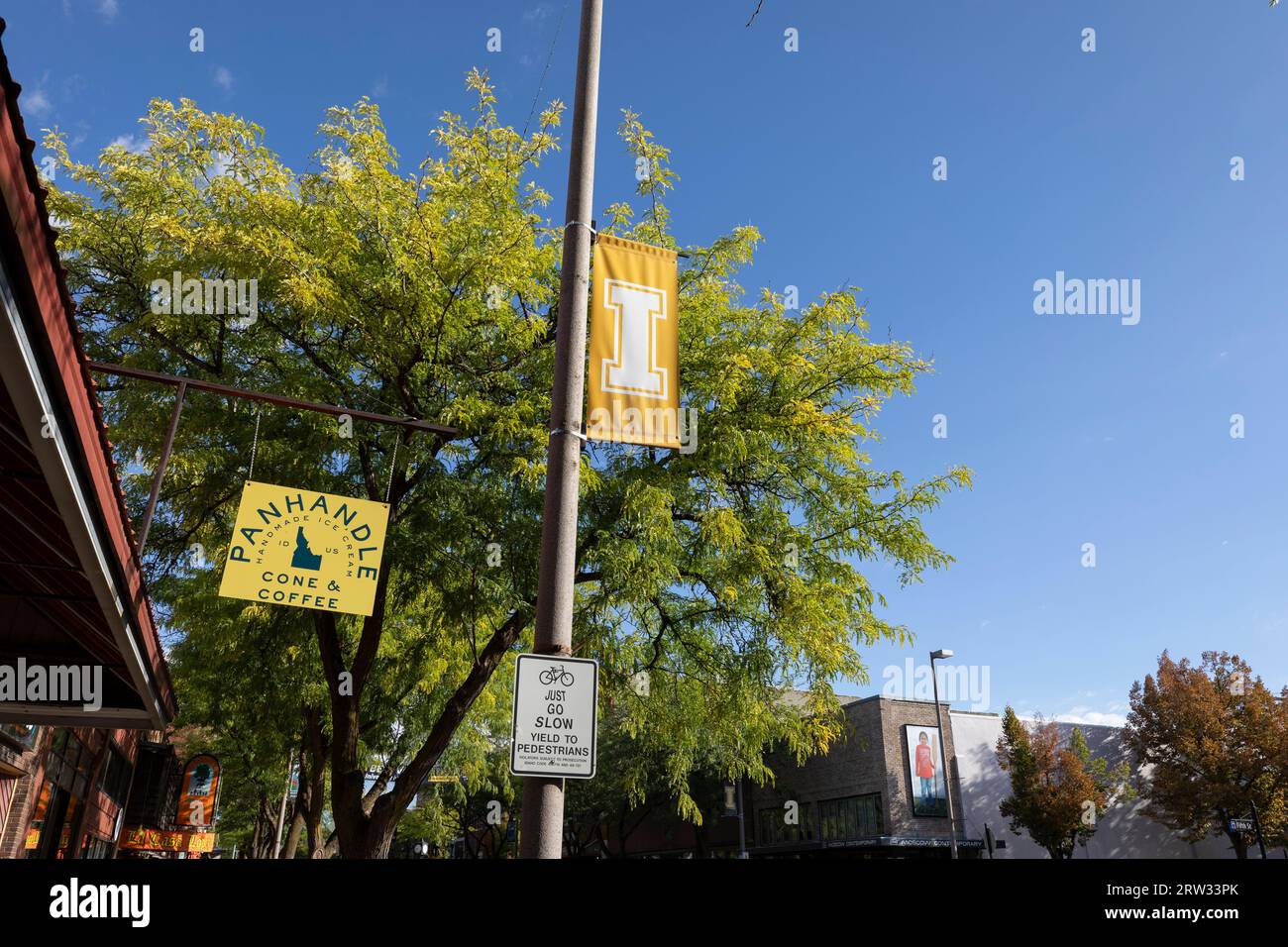 A University of Idaho banner along Main Street in Moscow, Idaho on
