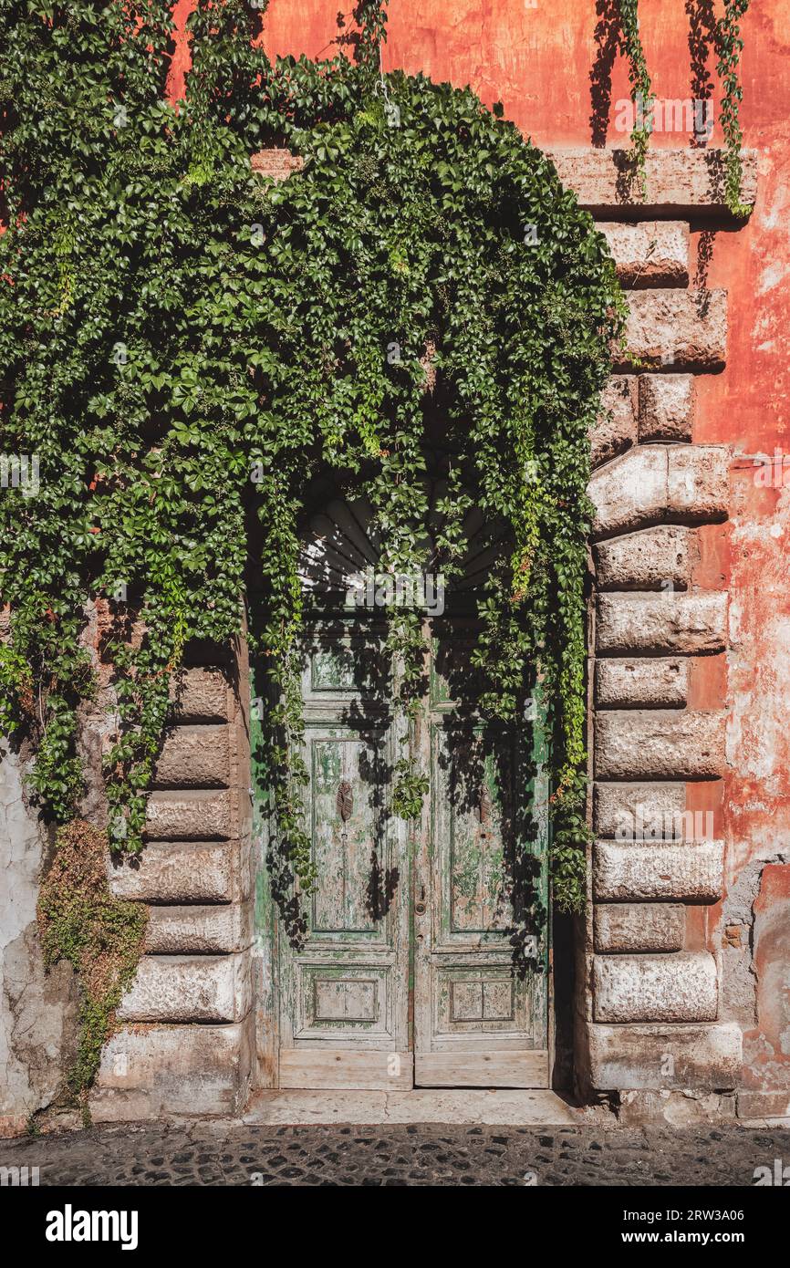 Green leafy ivy plant over an old rustic door of a residential building in the colourful and historic neighbourhood of Trastevere in Rome, Italy. Stock Photo