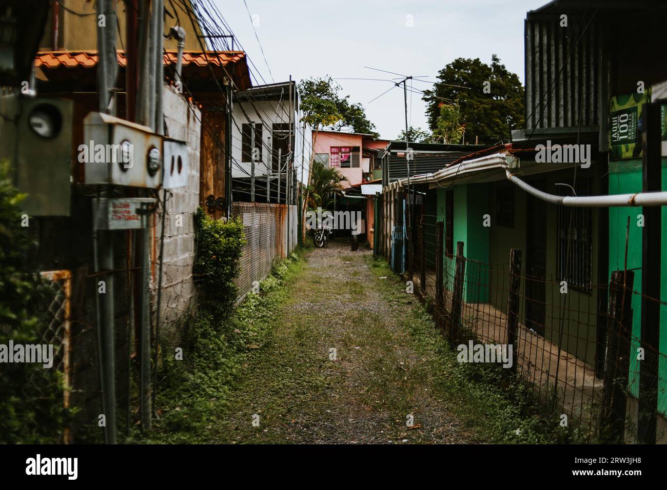 A colorful but slightly overgrown alleyway on the outskirts of Jaco, Costa Rica. Stock Photo