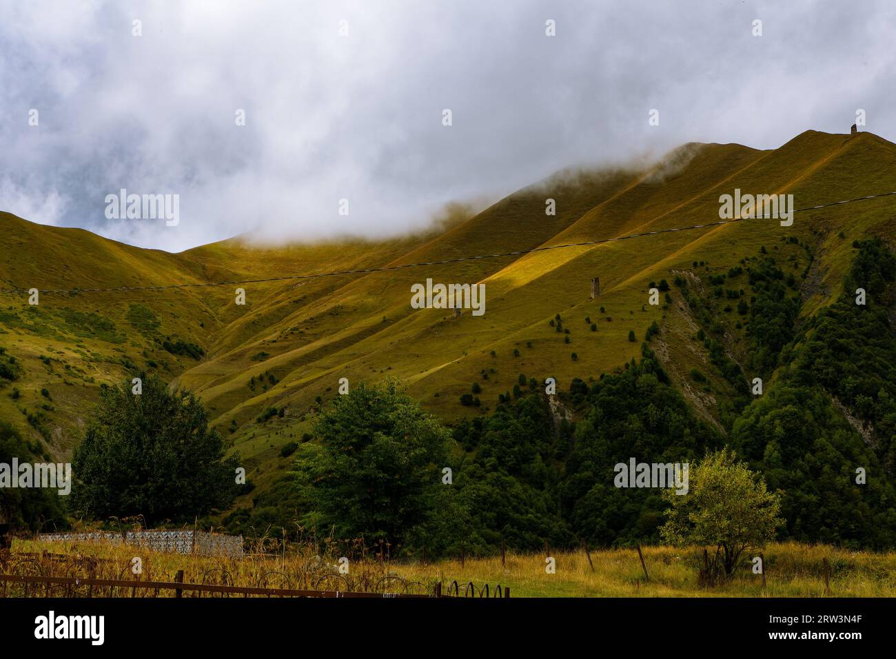 A peaceful scene of mountainous terrain featuring lush green grass and ...