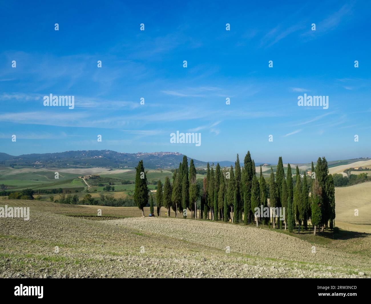 Pencil cypress trees hi-res stock photography and images - Alamy