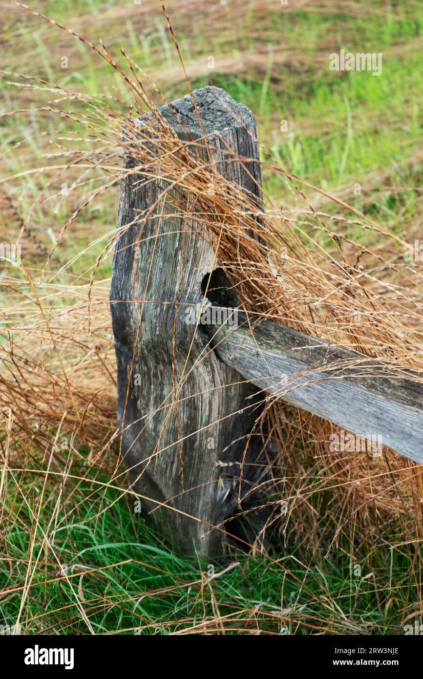 Details of notched wooden fence post with rail and wild grass Stock ...