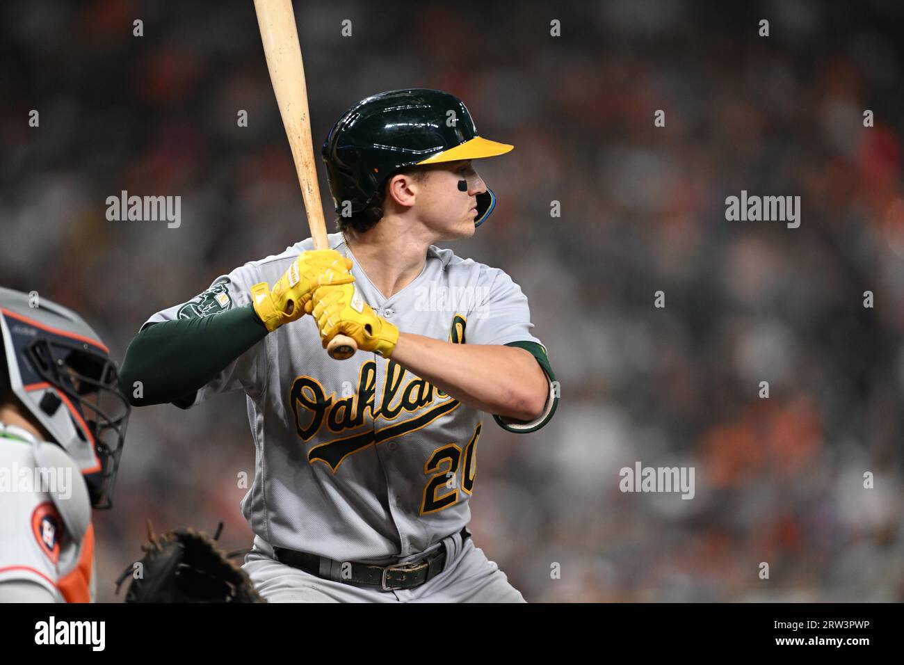 Oakland Athletics second baseman Zack Gelof (20) batting in the top of the fourth inning of the MLB game between the Oakland Athletics and the Houston Stock Photo