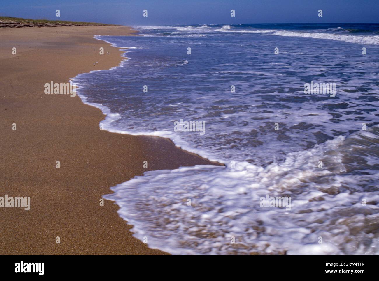 Klondike Beach, Canaveral National Seashore, Florida Stock Photo - Alamy