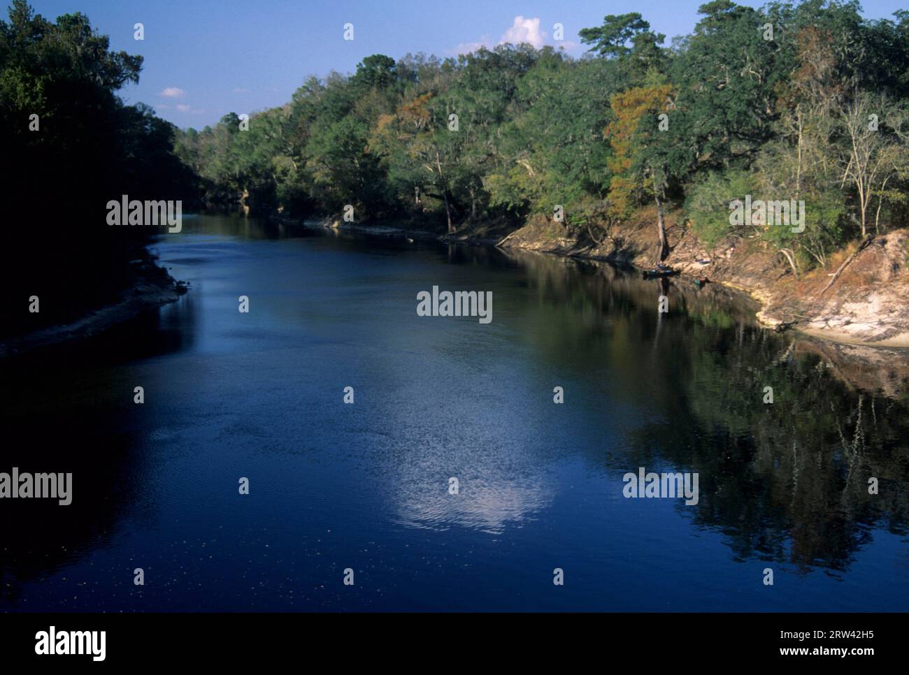Withlacoochee River at confluence with Suwannee River, Suwannee River