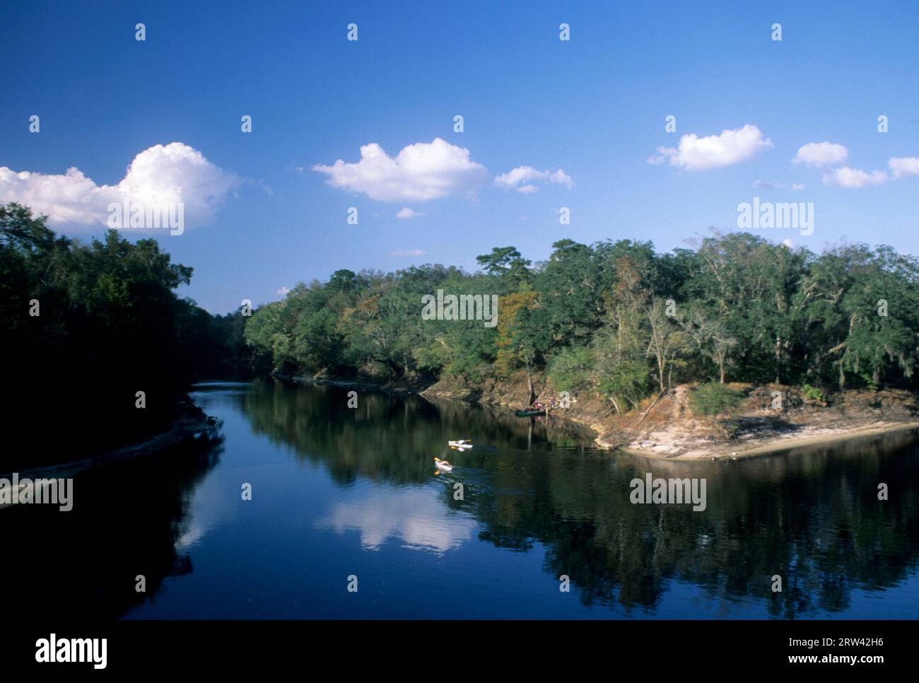 Withlacoochee River at confluence with Suwannee River, Suwannee River