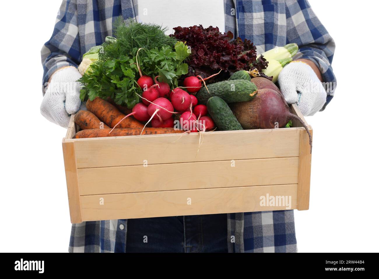 Harvesting season. Farmer holding wooden crate with vegetables on white ...