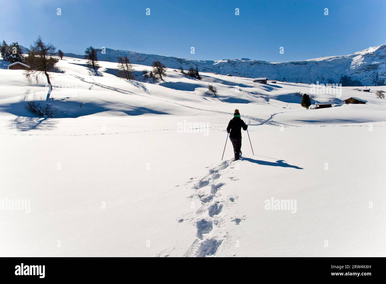 Winter snowshoe hike in the Dolomites in Italy Stock Photo Alamy