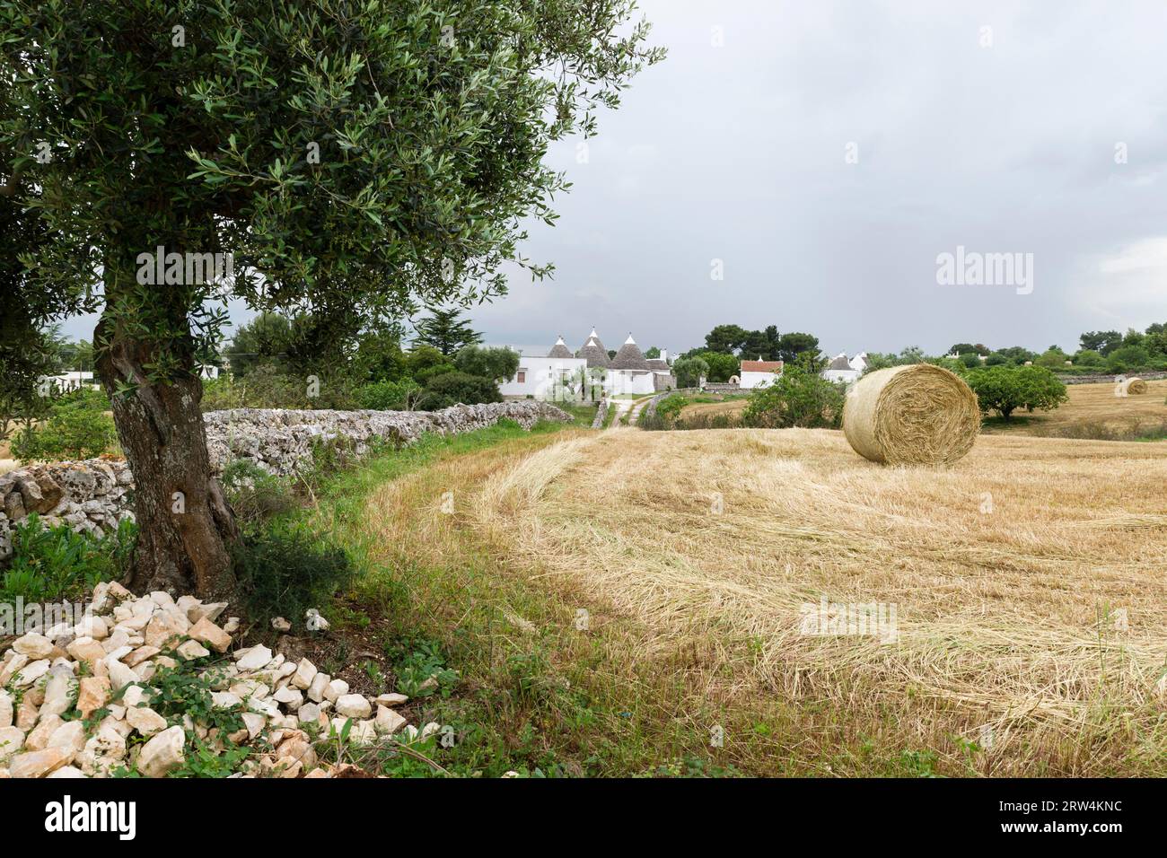 Trullo, trulli, typical round houses, field, hay bales, holm oak (Quercus ilex), near Martina Franca, Valle d?Itria, Trulli valley, Apulia, Puglia Stock Photo