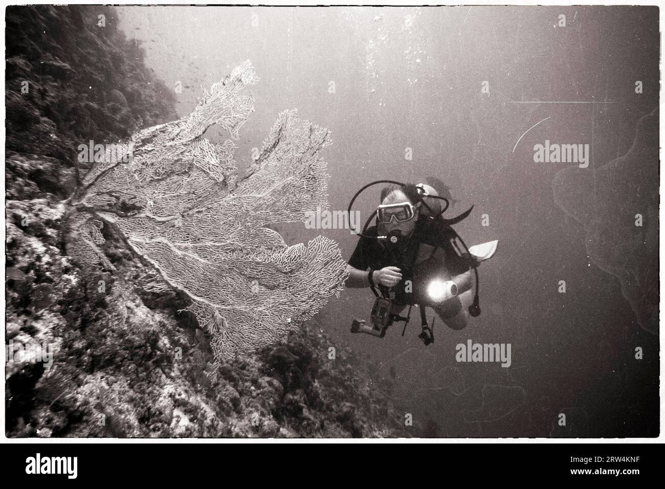 Divers on the coral reef Stock Photo
