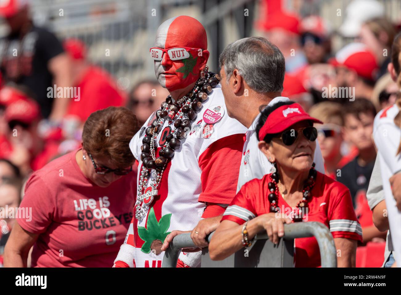 Columbus, Ohio, USA. 16th Sep, 2023. Ohio State Buckeyes fan Big Nut