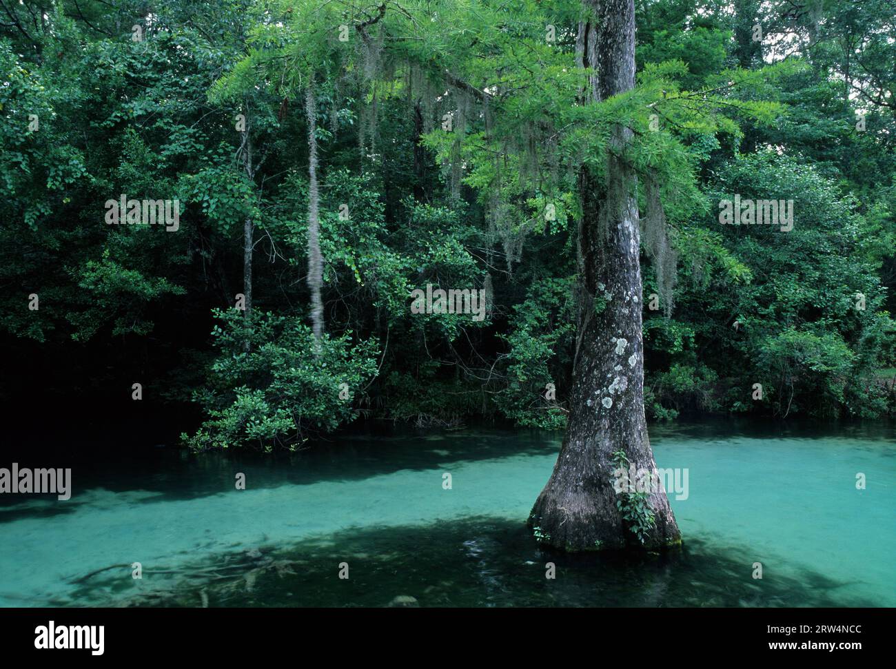 Ponce de Leon Springs, Ponce de Leon Springs State Park, Florida Stock