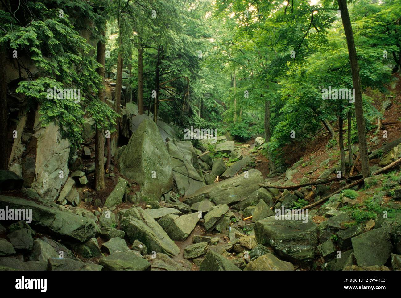 Purgatory canyon hi-res stock photography and images - Alamy