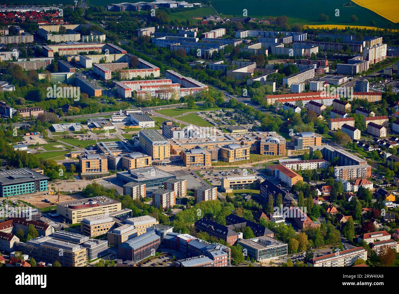 jobangebote greifswald