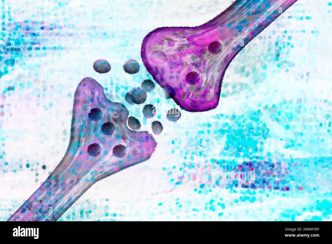 The synaptic cleft is the space between two neurons. It connects the