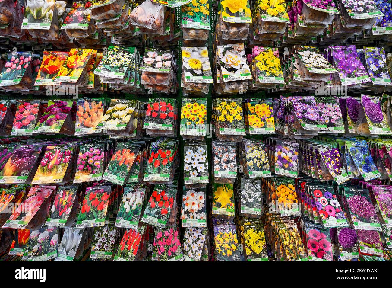 Bag of flower seeds in a garden centre, Allgaeu, Bavaria, Germany Stock