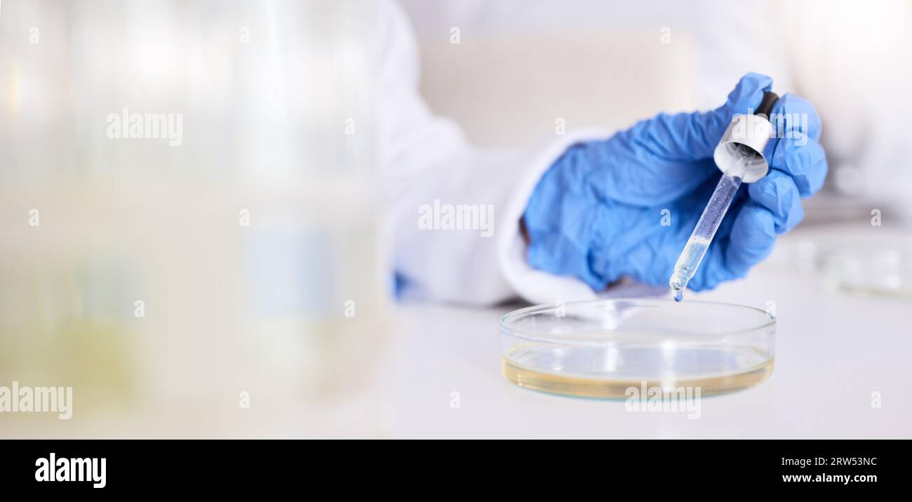 Hand, petri dish and liquid, chemical and pipette in laboratory with ...