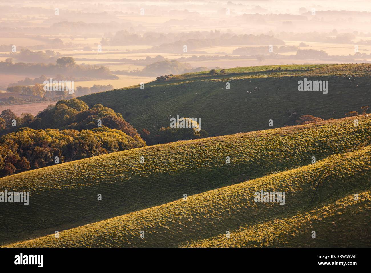 Misty morning on the escarpment of Firle beacon on the south downs in East Sussex south east England UK Stock Photo