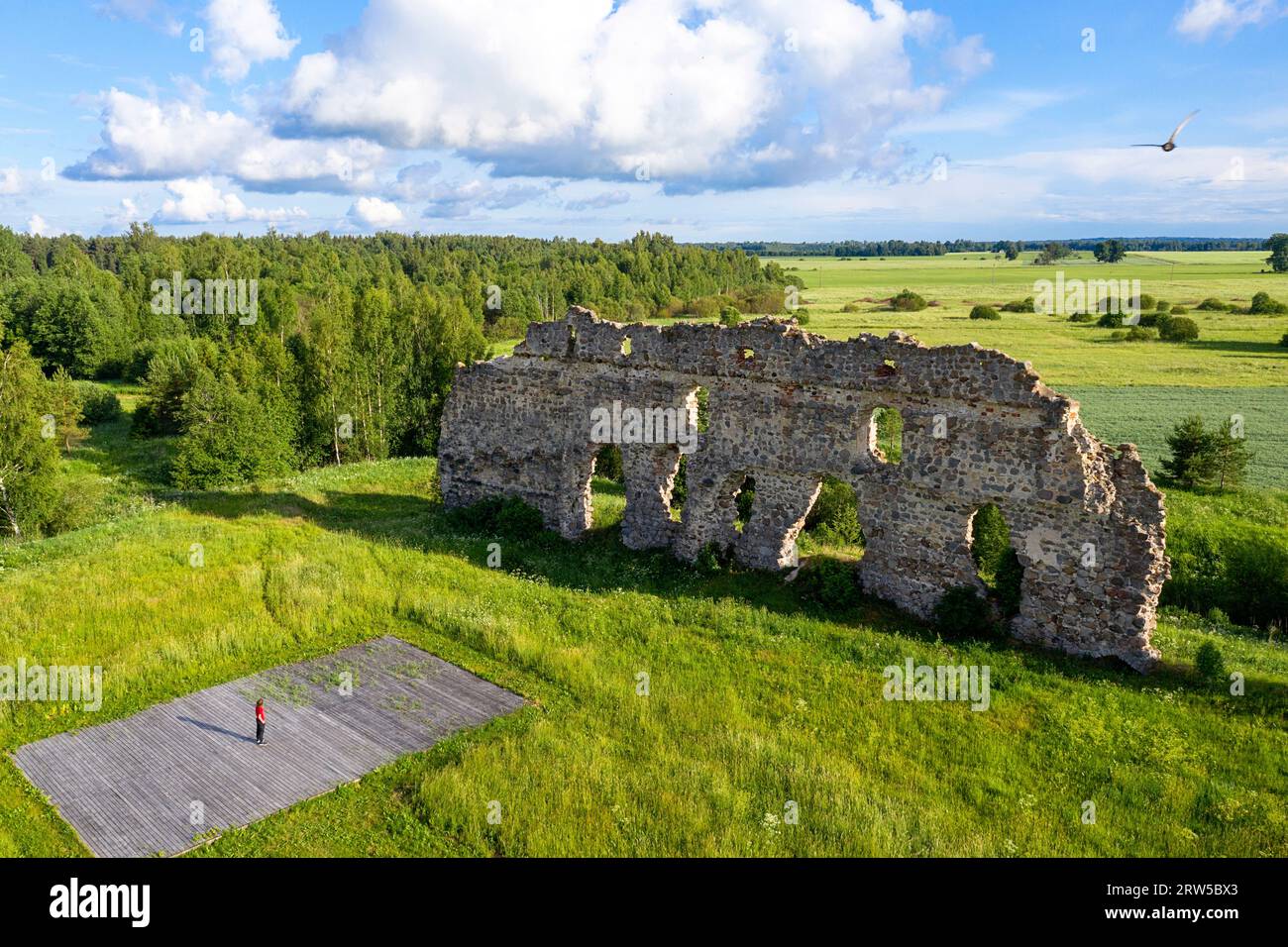 Aerial view of a tourist looking at the ruins of a Laiuse Castle on a beautiful sunny summer day in Estonia Stock Photo