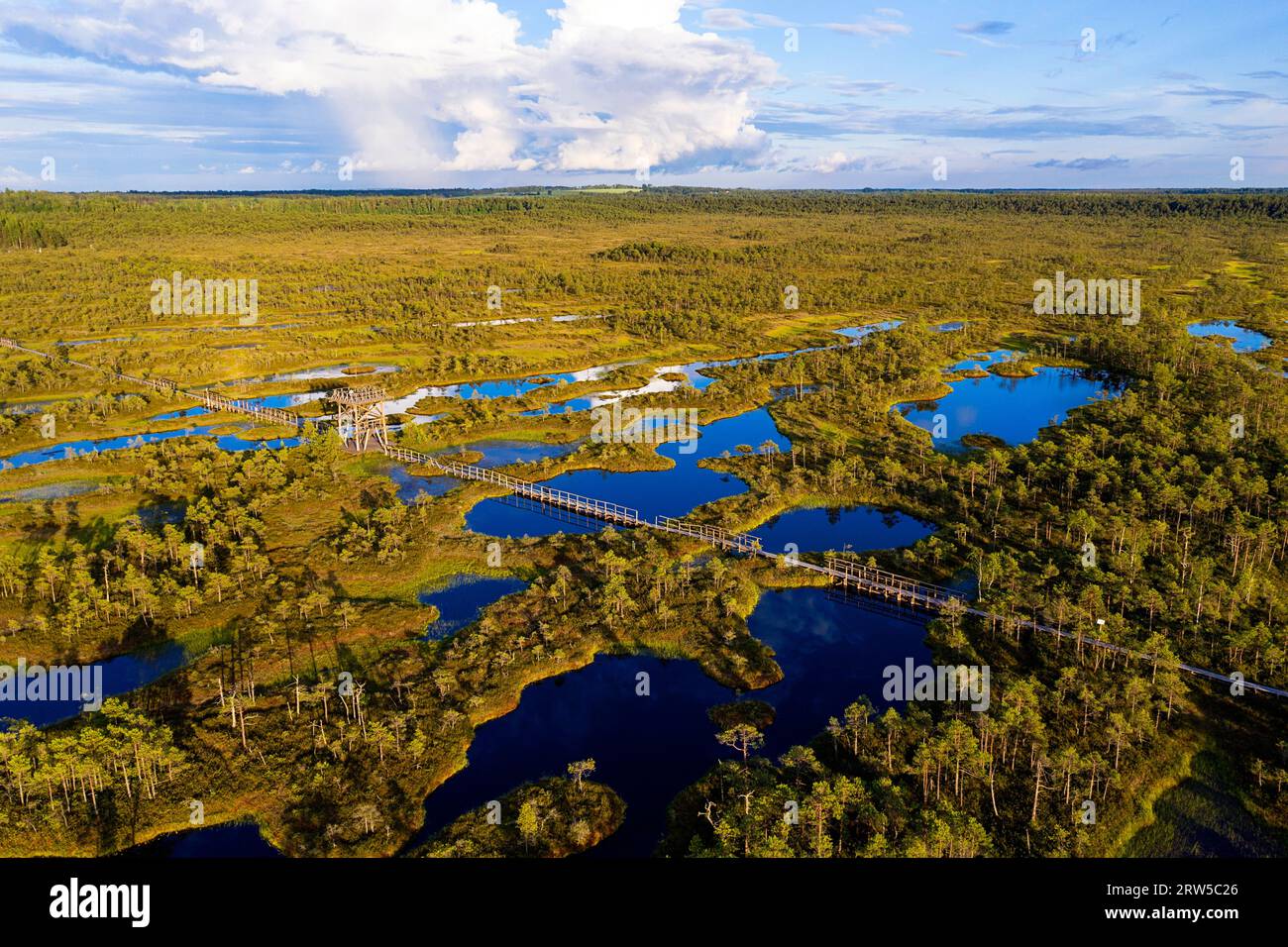 Aerial view of a watchtower on beautiful Mannikjarve bog hiking trail in Jogeva County, surrounded with pools on beautiful summer evening, Estonia Stock Photo