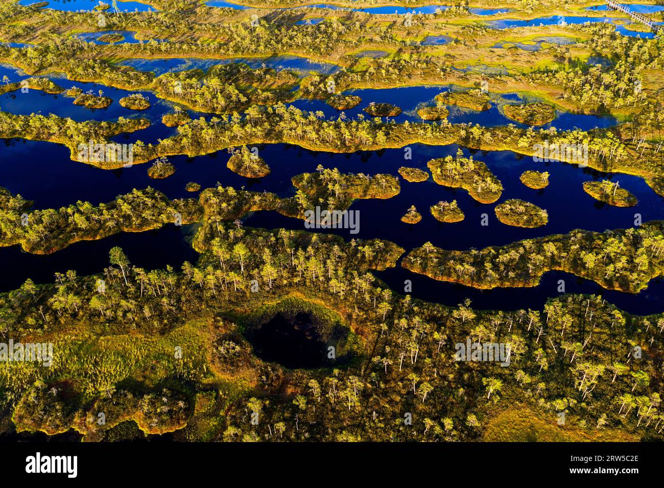 Aerial view of a beautiful Mannikjarve bog with beautiful ponds, pools ...