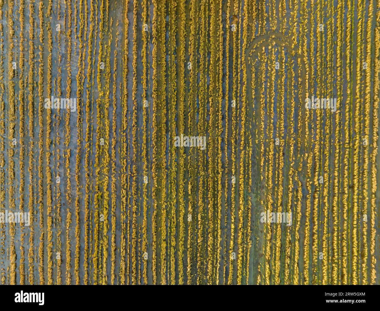 Vietnam wall dawn hi-res stock photography and images - Alamy