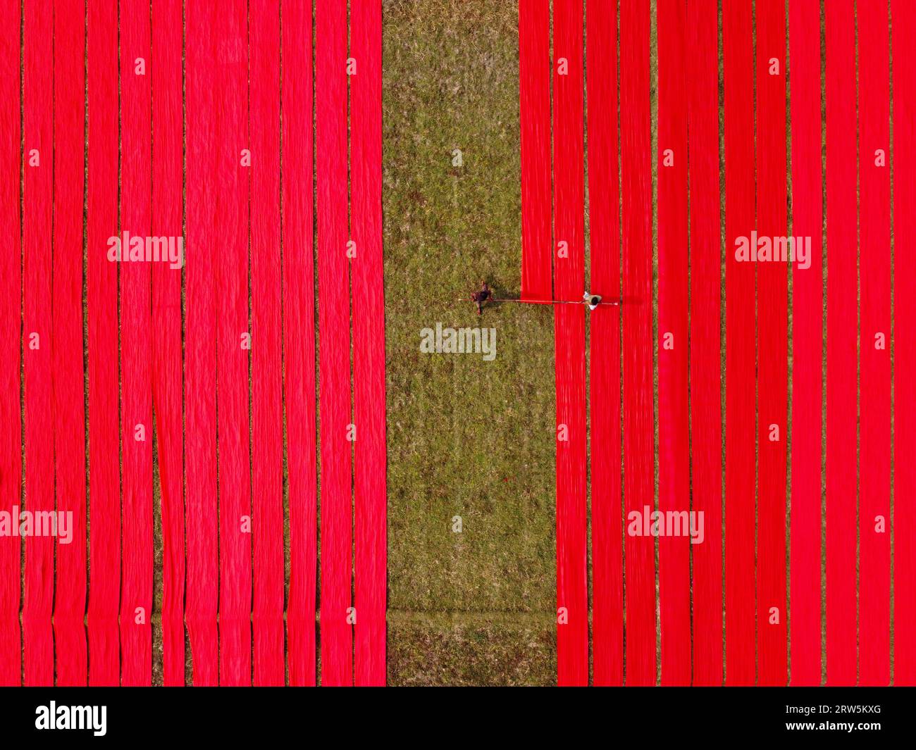 Narsingdi, Bangladesh. 17th Sep, 2023. Hundreds of meters of bright red fabrics are laid out in neat rows across a field in Narsingdi, Bangladesh. Known as 'Lal Shalu' to the locals, the long red cloths are set out to dry under the hot sun, having been dyed with bright red color. The use of sunlight to dry out the fabrics reduces production costs as it is cheaper and more sustainable. The eco-friendly drying method spans an area equal to 5 football fields and takes up to 6 hours to complete after being placed by workers at sunrise. Credit: Joy Saha/Alamy Live News Stock Photo