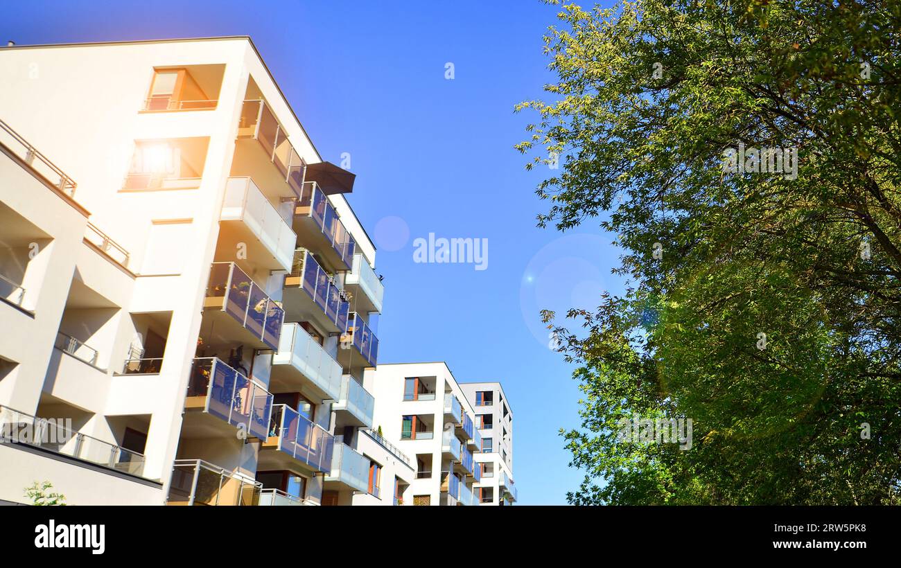Curated Ecologically Efficient Apartment Homes Gallery View 41