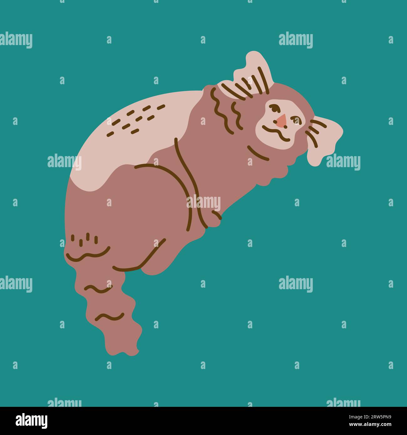 Hand drawn pygmy marmoset monkey color concept. Children's character