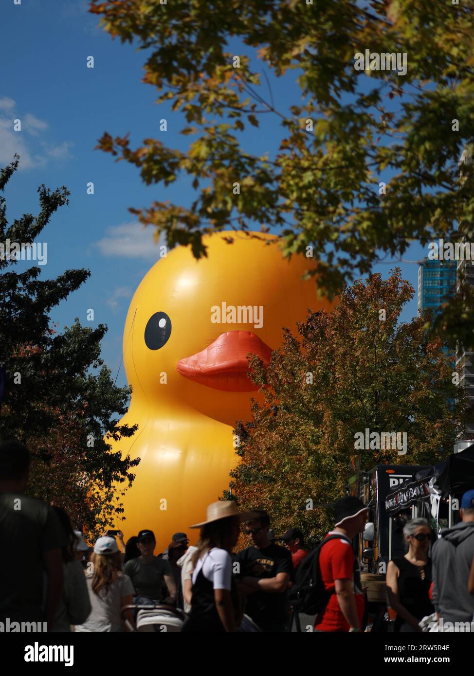 Toronto, Canada. 16th Sep, 2023. The world's largest rubber duck is on display during the annual Toronto waterfront festival at Queens Quay East in Toronto. Credit: SOPA Images Limited/Alamy Live News Stock Photo