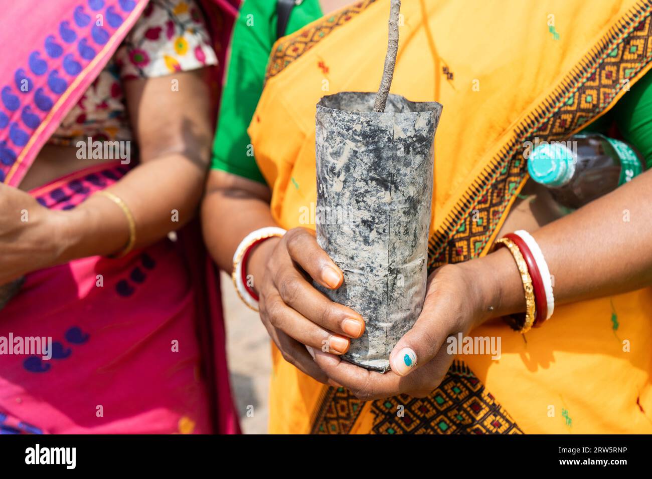 Guwahati, Assam, India. 17th Sep 2023. A woman holds a tree plant as