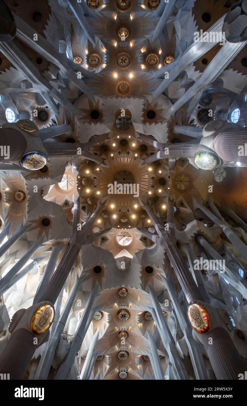 The ceiling inside La Sagrada Familia Stock Photo - Alamy