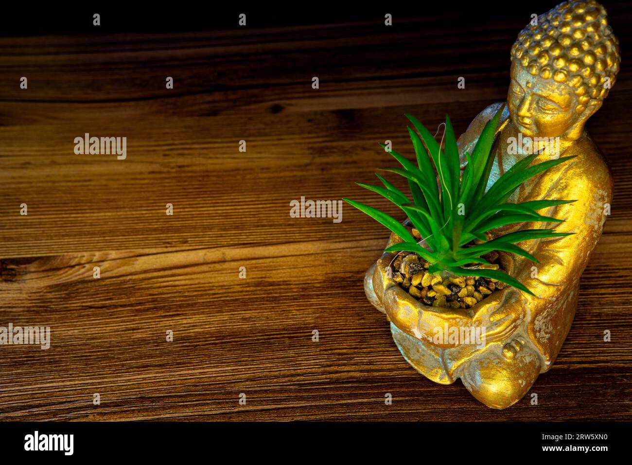 Buddha statue with a succulent plant single on a wooden background Stock Photo