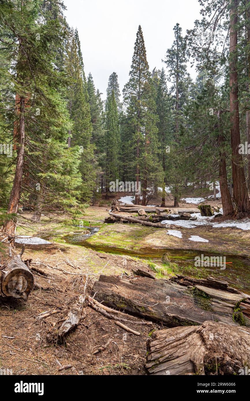 Mountain river flows among huge hi-res stock photography and images - Alamy