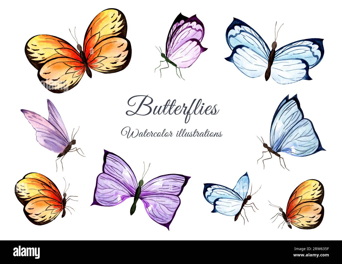 Set of watercolor colorful butterflies isolated on white background ...