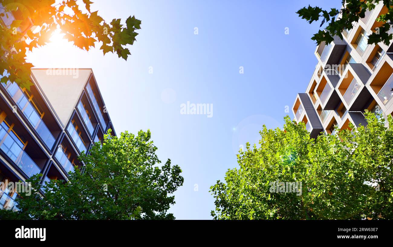 Gallery image with a fresh perspective
