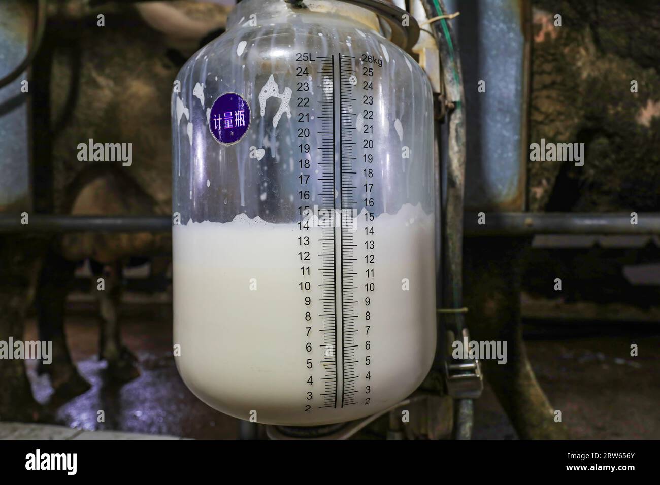 The milk measuring bottle is in the milking hall, North China Stock Photo