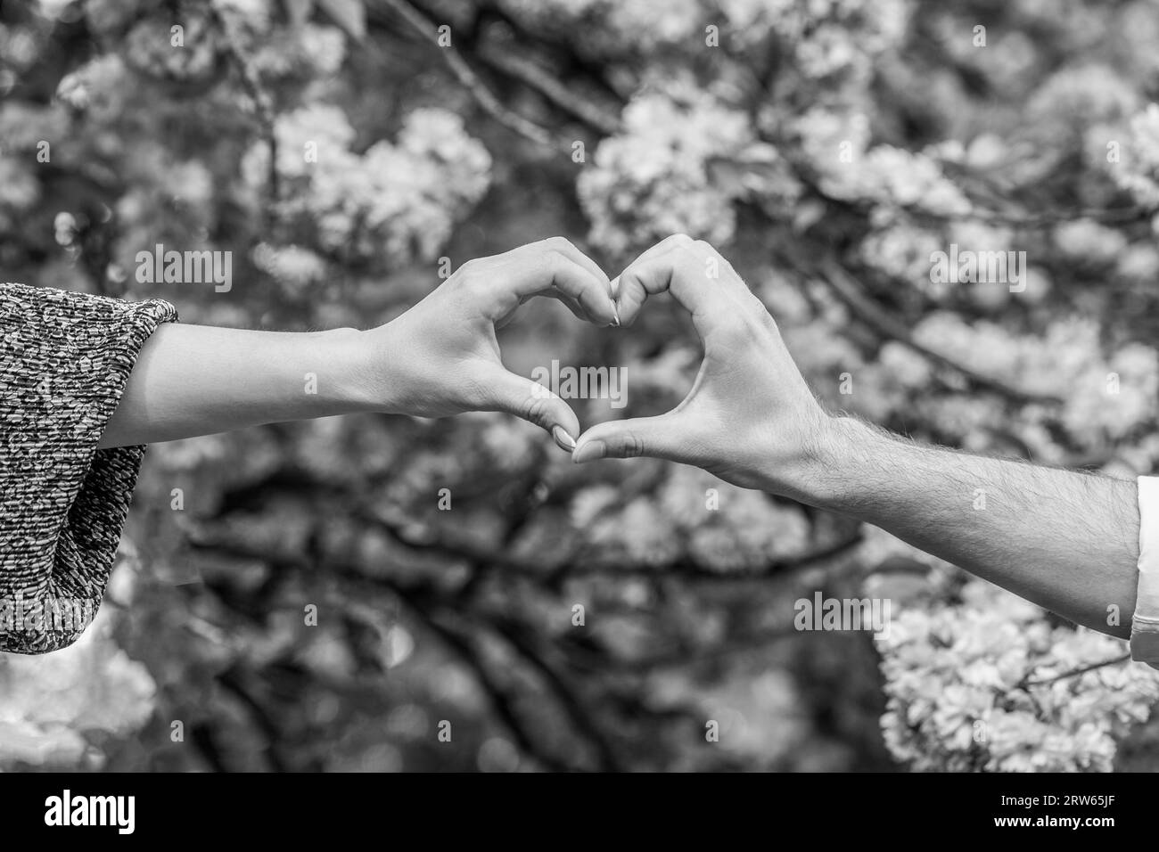 Hands of women and men are the heart the hands. Beautiful young couple