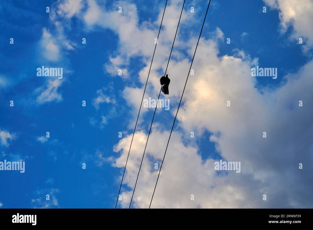 Wires pole with blue sky electrical wires on a background hi-res stock ...