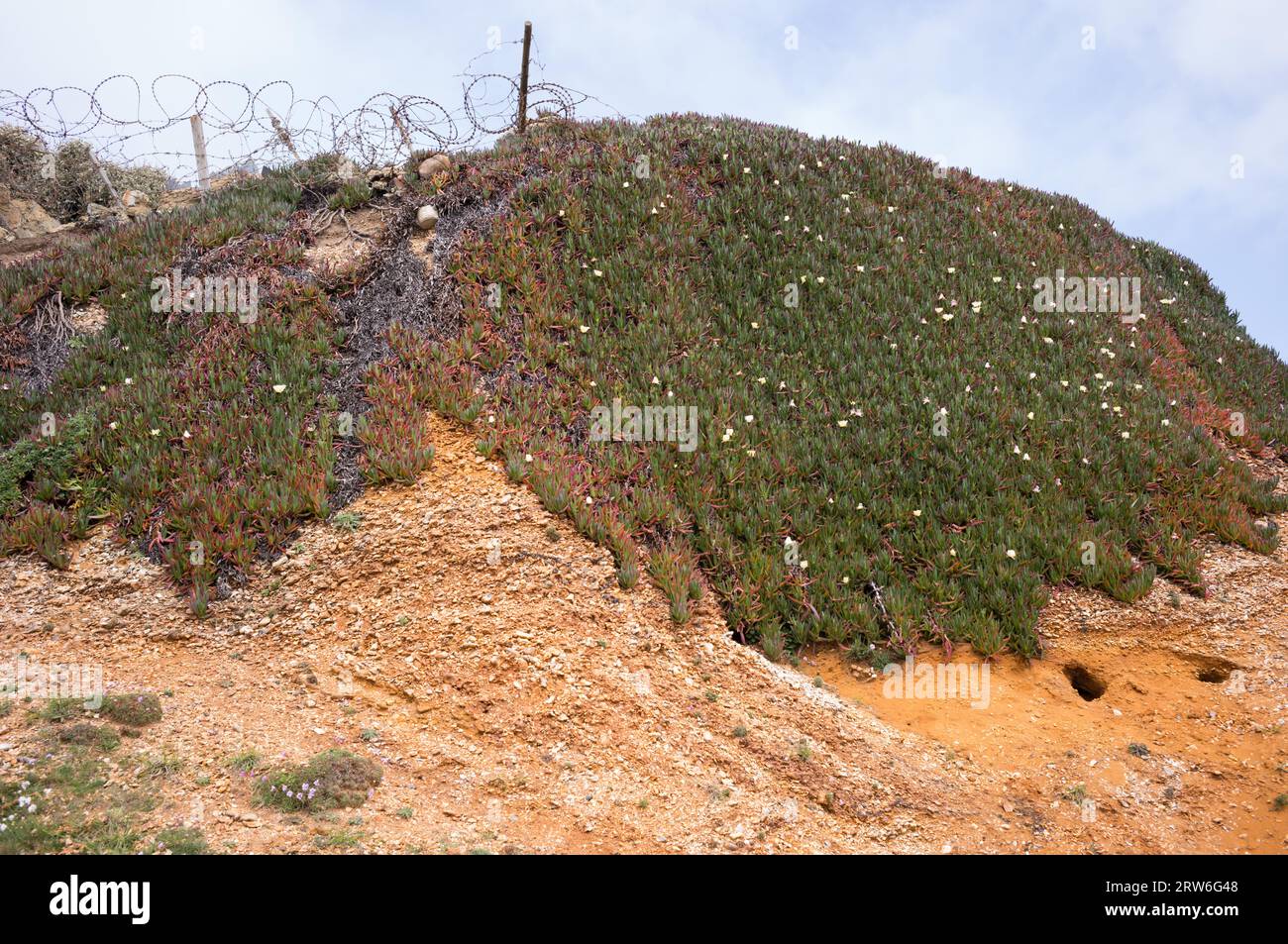 Cliff erosion at Barton on Sea, New Milton, Hants, England, UK Stock