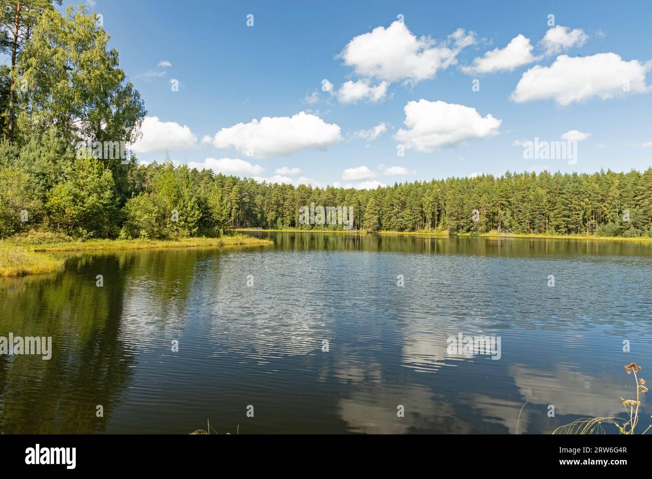 dystrophic lake near Krutyń in Poalnd Stock Photo - Alamy